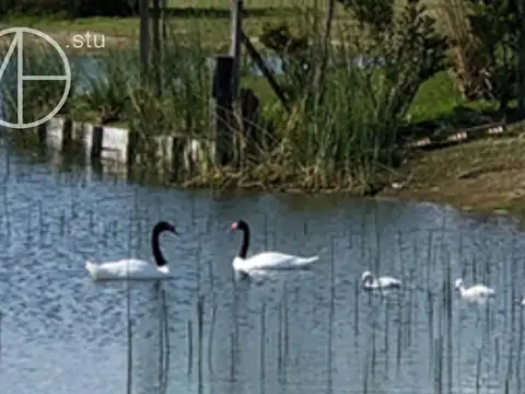 Terreno en Venta de 881,0 m2