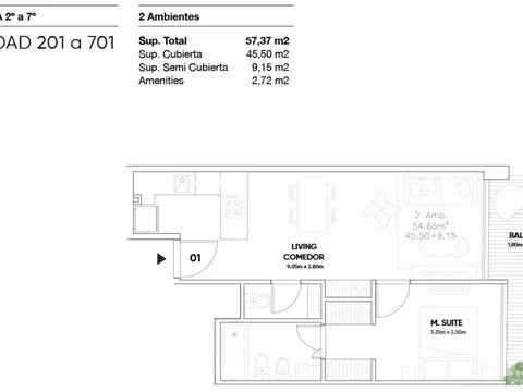 Departamento 2 ambientes con 2 baños