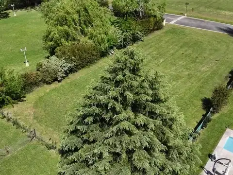 Terreno en Venta en Carlos Spegazzini, USD 53.000