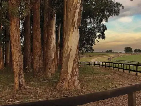 VENTA lote Baradero Barrio Quebradas OPORTUNIDAD