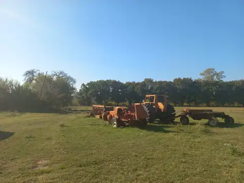 Campo de 12 has, a 2 km de ruta en venta