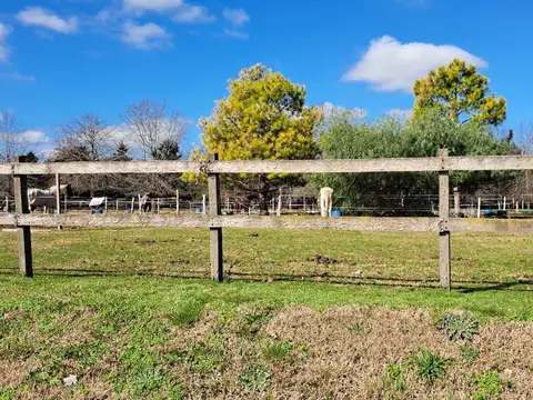 Casa en Alquiler A Estrenar