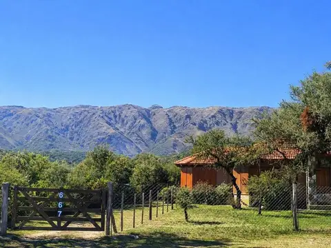 Maipú 600