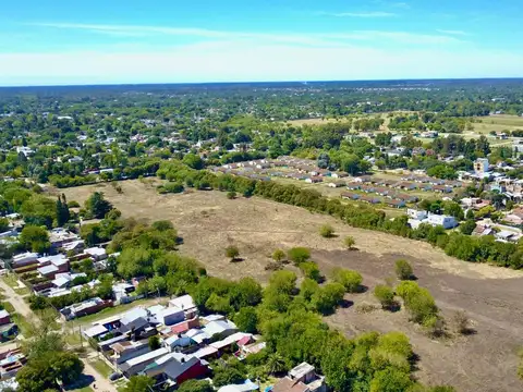 Terreno - Longchamps