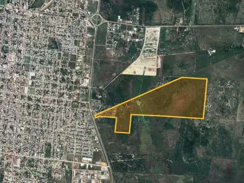 CAMPO EN VENTA, GOYA