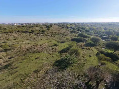 CAMPO EN VENTA, GOYA