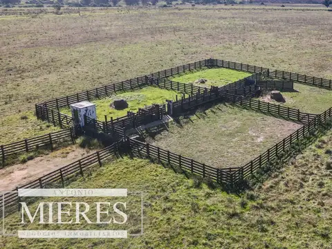 Campo en venta de 310 ha en Maldonado Ganadero/Agrícola