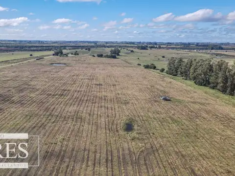 Campo en venta de 310 ha en Maldonado Ganadero/Agrícola