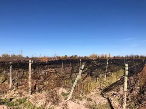 Cochabamba, Agrelo, Lujan De Cuyo