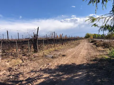 Cochabamba, Agrelo, Lujan De Cuyo