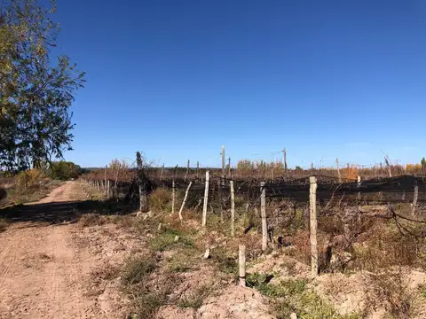Finca en Agrelo