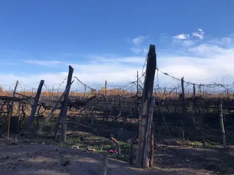 Cochabamba, Agrelo, Lujan De Cuyo