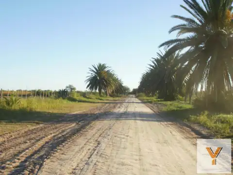 Ruta 34
