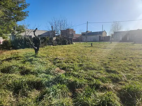 Terreno en Venta 28  mts Fondo