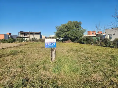 Barrio Graduados
