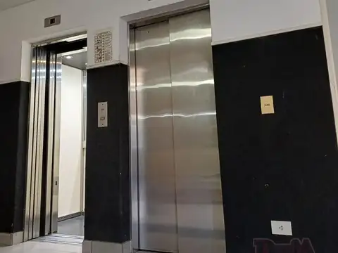 Departamento en Alquiler Permite mascota
