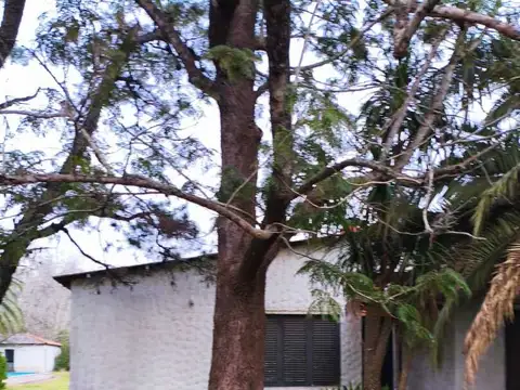 calle 637 y 22