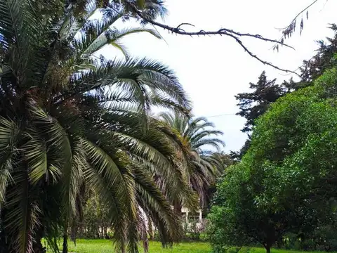 Quinta en Venta en Arana [Cod: 0226]