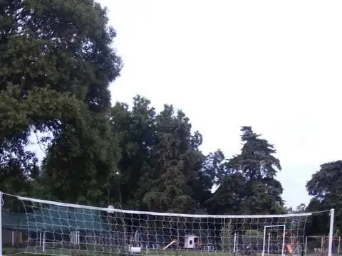 Belgrano 600