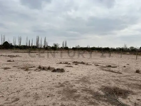 Lote en venta. Coquimbito. Maipú. Mendoza.