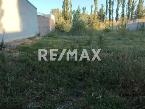 MARIA DEL CARMEN CARRERAS 100