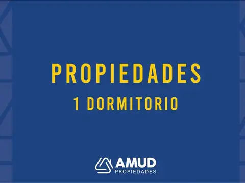 PUEYRREDON 400