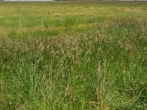 Ruta 74 , Piso No definido