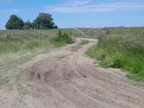 Ruta 74 , Piso No definido