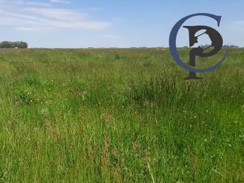 Ruta 74 , Piso No definido