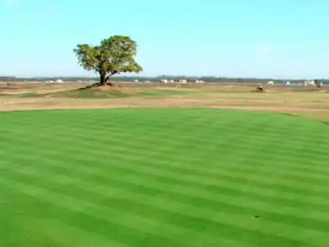 Terreno en Venta de 950,0 m2