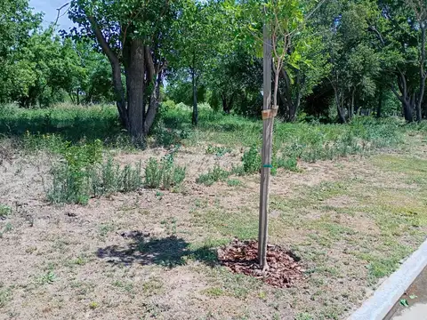 Terreno en Venta 25  mts Fondo