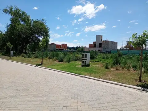Terreno en Venta de 250,0 m2