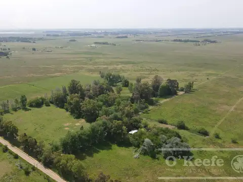 CAMPO 126 HAS CERCA DE RUTA 215 - PRODUCTIVO Y DISFRUTE - LA PLATA