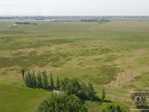 CAMPO 126 HAS CERCA DE RUTA 215 - PRODUCTIVO Y DISFRUTE - LA PLATA