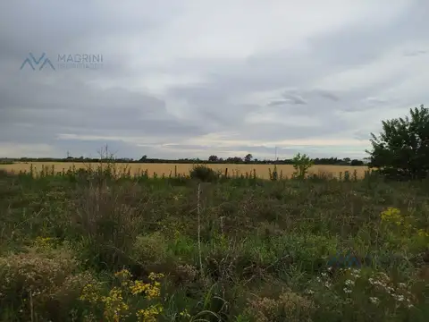 Campo 2 ha con galpón, silos y oficina en Ruta 32 y Bv. Acevedo, Pergamino