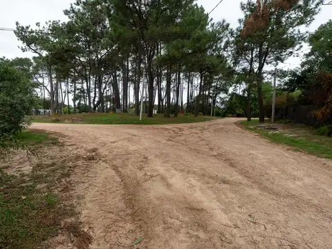 Venta terreno en El Pinar a metros Interbalnearia