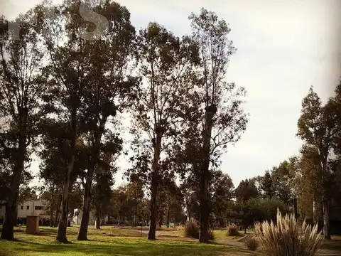 Terreno en Venta en Francisco Alvarez, USD 38.000