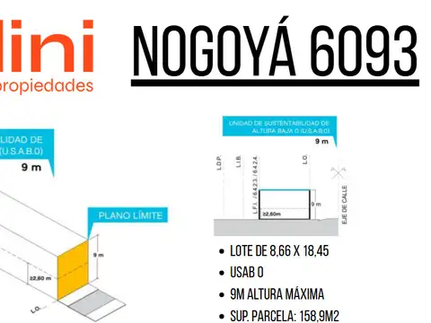 Nogoyá 6000
