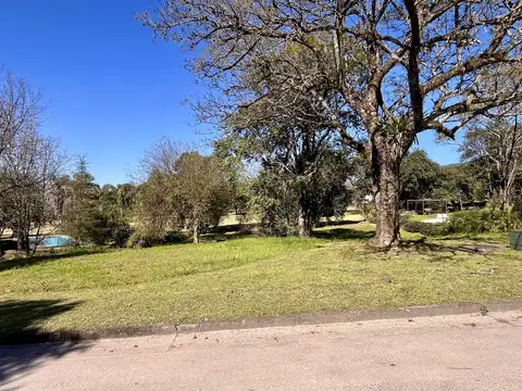 Country Las Yungas