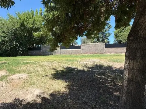 Terreno en Venta en Coronel Dorrego, USD 115.000