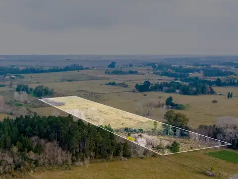 Venta de campo 3Ha. en Rincon de Pando, Canelones