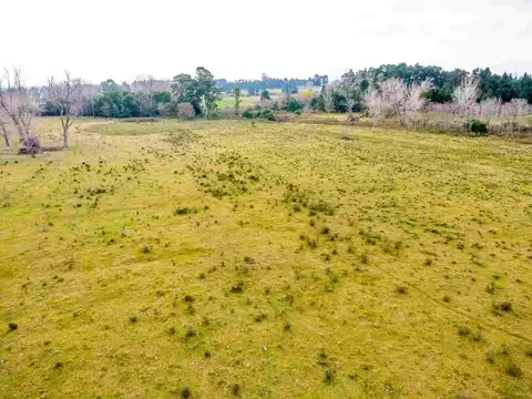 Rincón De Pando- camino Aldo Rosso 100