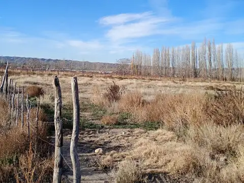 Terreno para Galpon de Empaque y Frutas con Frio