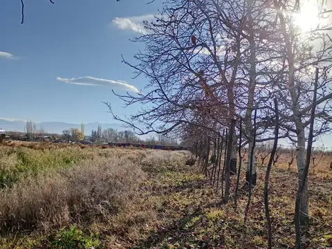 Terreno en Venta de 11200,0 m2