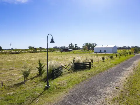 Chacra 1 Ha. - Las Juntas - San Antonio de Areco