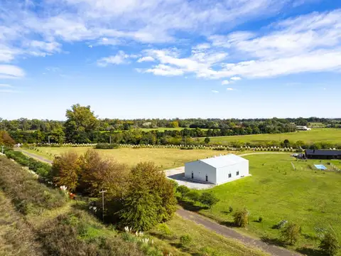 Colectora Ruta prov. Nº 41