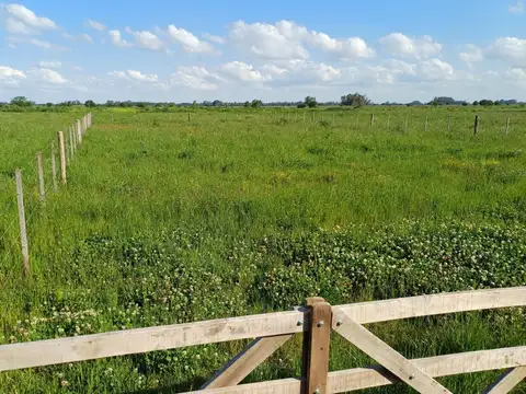 Terreno en Venta de 450,0 m2