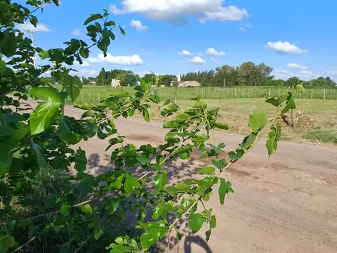 Venta Terreno / Lote Villa Espil