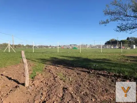 Terreno en Venta de 250,0 m2