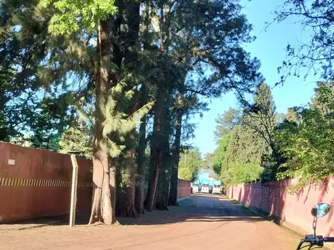 Galpon en Alquiler 15 años